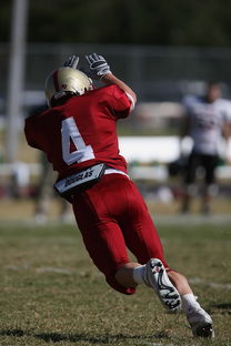 NBA球队防守体系深度剖析，nba的防守强队