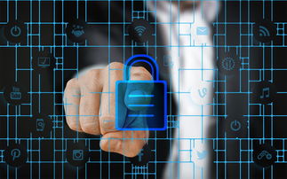 中国篮球联赛赛事安全管理体系优化及风险防控，中国篮球协会审定的最新《篮球竞赛规则》