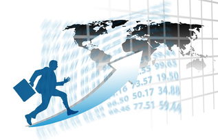 中国篮球职业联赛赛事运营管理优化研究，中国篮球竞赛体系