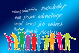 中国篮球职业联赛品牌战略及市场推广研究，中国的职业篮球联赛